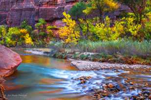 Zion Canyon, Fall-4504.jpg Zion Canyon, Fall-4504.jpg